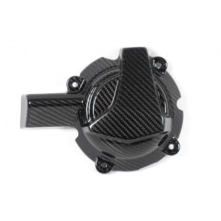 Ilmberger Generator Cover S 1000 XR / M 1000 XR