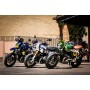 Wunderlich Tail Conversion Low