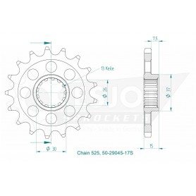 Regina HPE 525 Chain Kit 128 Chain Links S 1000 XR