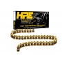 Regina HPE 525 Chain Kit 128 Chain Links S 1000 XR