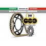 Regina HPE 525 Chain Kit 116 Chain Links