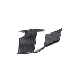 Ilmberger Faring Side Winglet M 1000 R