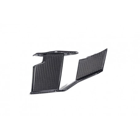 Ilmberger Faring Side Winglet M 1000 R