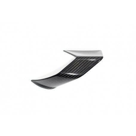 Ilmberger Faring Side Winglet S 1000 R