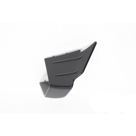 Ilmberger Faring Side Winglet M 1000 RR