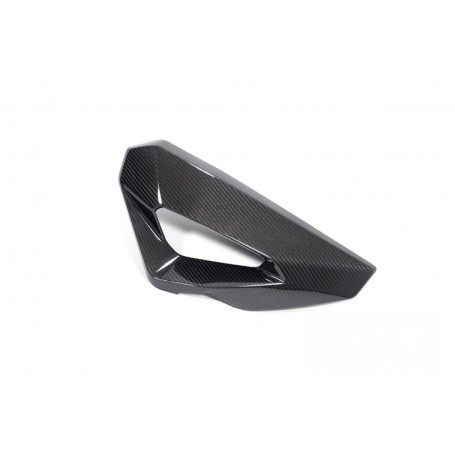 Ilmberger Side Cover for Water Radiator Fairing Carbon – BMW S 1000 XR 2024