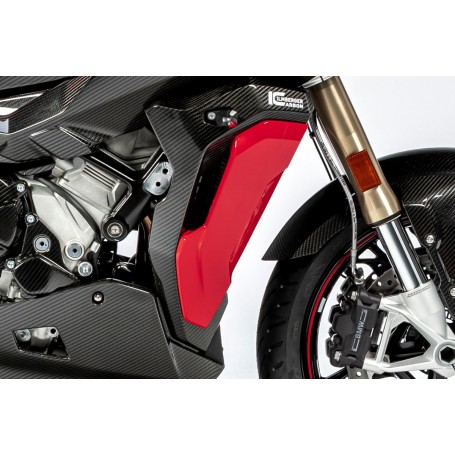 Ilmberger Radiator Cover (Model with Painted Side Panel) S 1000 XR