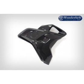 Ilmberger Wind Channel Including Flap
 R 1250 GS