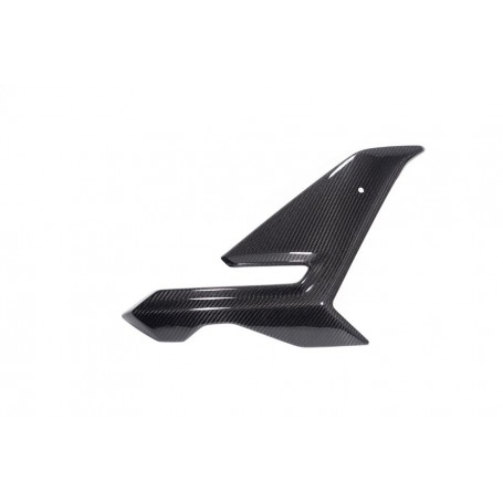 Ilmberger Side Fairing M 1000 R