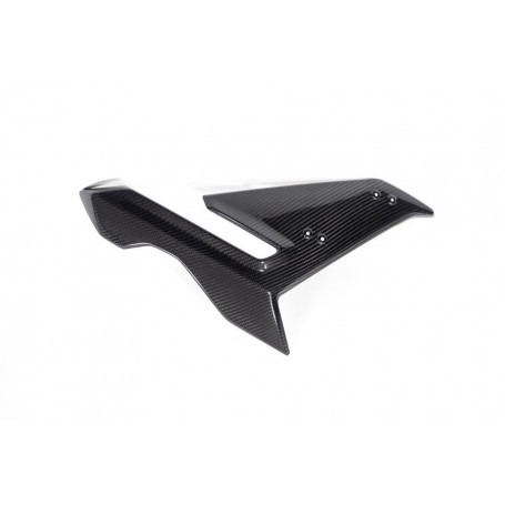 Ilmberger Side Fairing S 1000 R