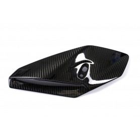 Ilmberger Side Fairing