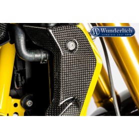 Ilmberger Radiator Cover R 1200 R LC