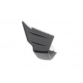 Ilmberger Faring Side Winglet M 1000 RR