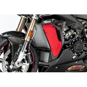 Ilmberger Radiator Cover (Model with Painted Side Panel) S 1000 XR