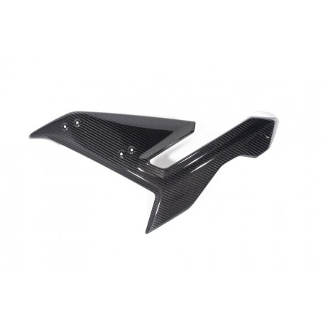 Ilmberger Side Fairing S 1000 R