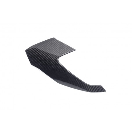 Ilmberger Front Fairing S 1000 XR / M 1000 XR