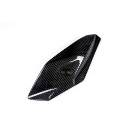 Ilmberger Side Fairing