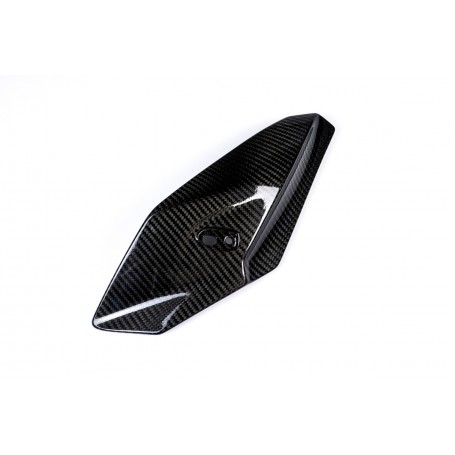 Ilmberger Side Fairing