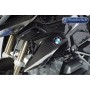Ilmberger Radiator Cover (BMW Emblem Carrier) R 1200 GS LC