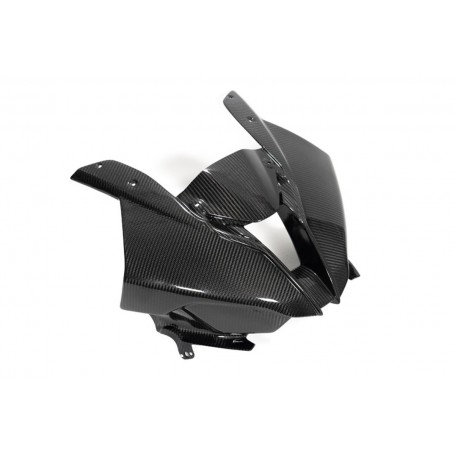 Ilmberger Cockpit Fairing Racing M 1000 RR