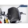 Ilmberger Windschield R 1200 R LC