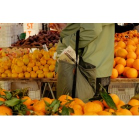 Peak Design Packable Tote