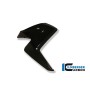 Radiator Cover (Right) Carbon - Honda CB 1000 R