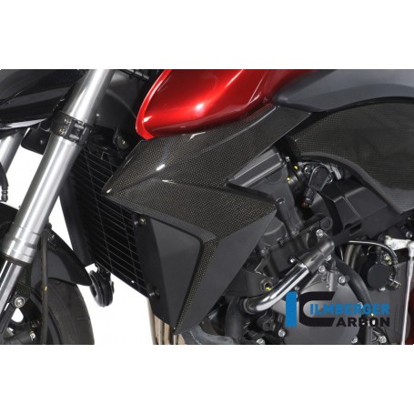 Radiator Cover (Left) Carbon - Honda CB 1000 R