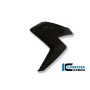 Radiator Cover (Left) Carbon - Honda CB 1000 R