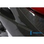 Radiator Cover (Left) Carbon - Honda CB 1000 R