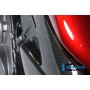 Radiator Cover (Left) Carbon - Honda CB 1000 R