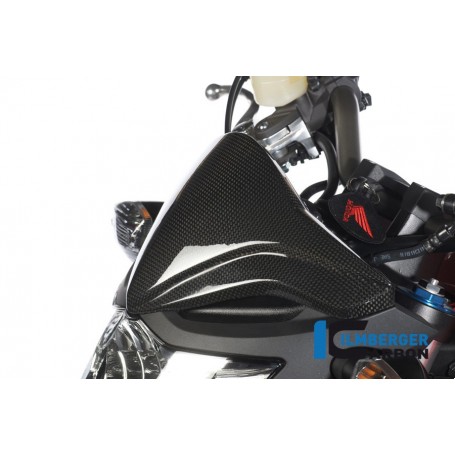 Windshield Carbon - Honda CB 1000 R