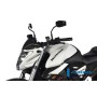 Windshield Carbon - Honda CB 1000 R