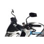 Windshield Carbon - Honda CB 1000 R