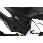 Cover Under the Seat Left Carbon - Honda CB 1000 R (from 2008)