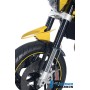 Front MudGuard Carbon - Husqvarna Nuda 900 / 900 R