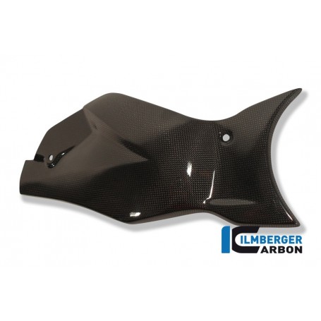 Swingarm Cover / Chain Guard Carbon - Honda CB 1000 R