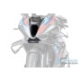 Air Intake Carbon Matte M 1000 RR Street (from 2025)