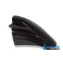 Front MudGuard Carbon - BMW R 1150 R