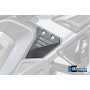 Front Triangle Cover for Rear Frame Left Carbon Matte R 1300 GS Adventure