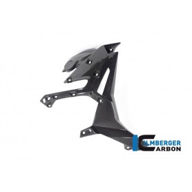 Watercooler Cover Right Side BMW S 1000 R from 2021