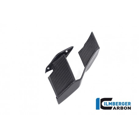 Winglet Right BMW M 1000 R 2023