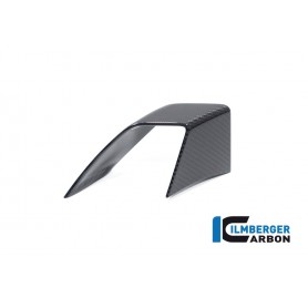 Fairing Side Winglet Left Side BMW S 1000 R from 2021