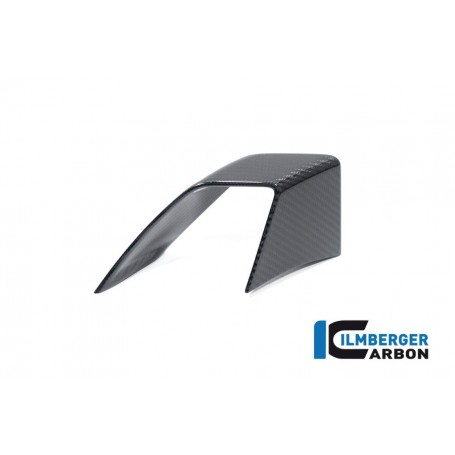 Fairing Side Winglet Left Side BMW S 1000 R from 2021