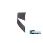Fairing Side Winglet Left Side BMW S 1000 R from 2021
