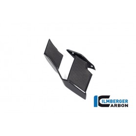 Winglet Left BMW M 1000 R 2023