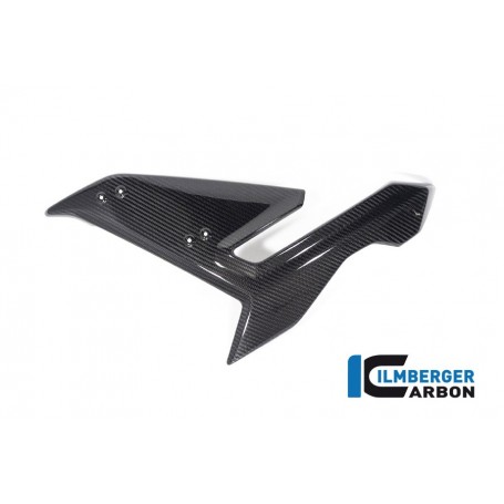 Side Fairing Left Side BMW S 1000 R from 2021