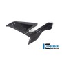 Side Fairing Left Side BMW S 1000 R from 2021