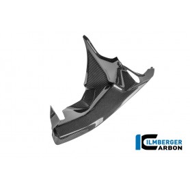 Right Wind Tunnel Cover Carbon Glossy Panigale V4 2025