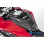 Upper Tank Cover BMW S 1000 XR from 2020